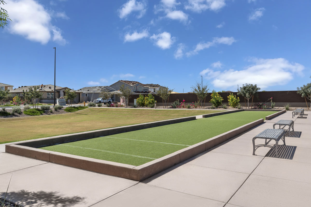 Community shuffleboard