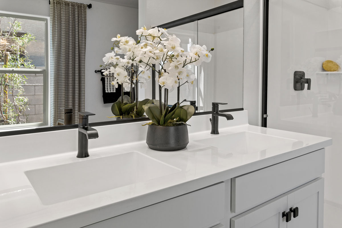 Dual-sink vanity at primary bath