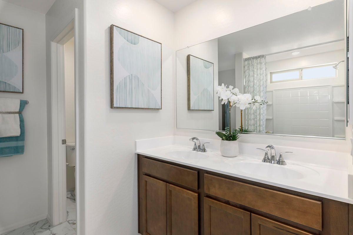 Dual-sink vanity at primary bath