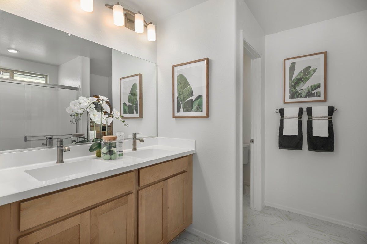 Dual-sink vanity at primary bath