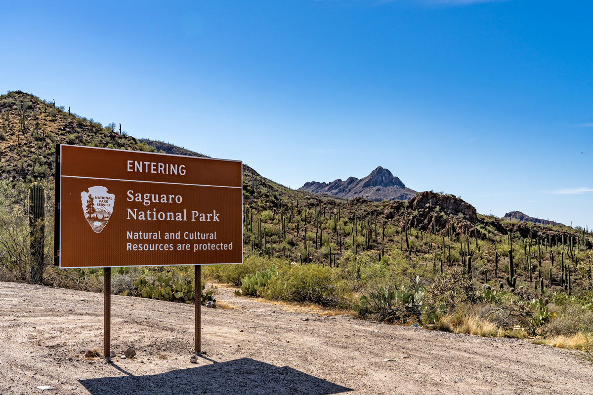 Near hiking and biking at Saguaro National Park