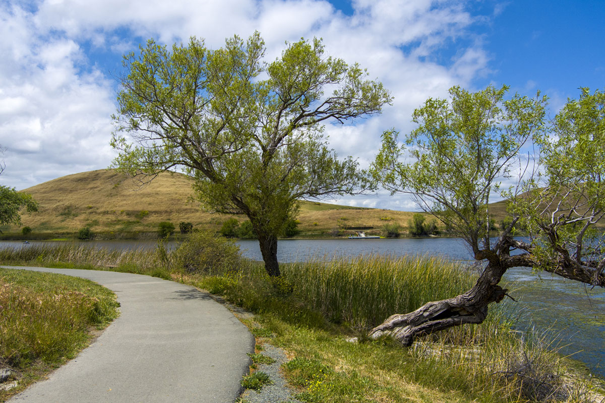 Close to Contra Loma Regional Park