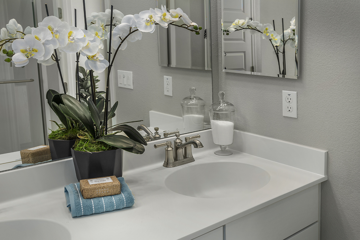 Dual-sink vanity at primary bath