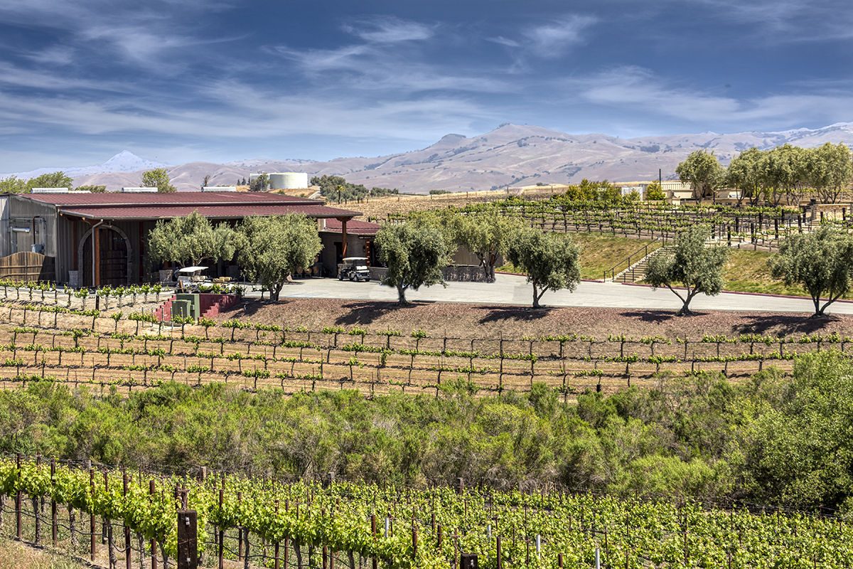 Close to Leal Vineyards