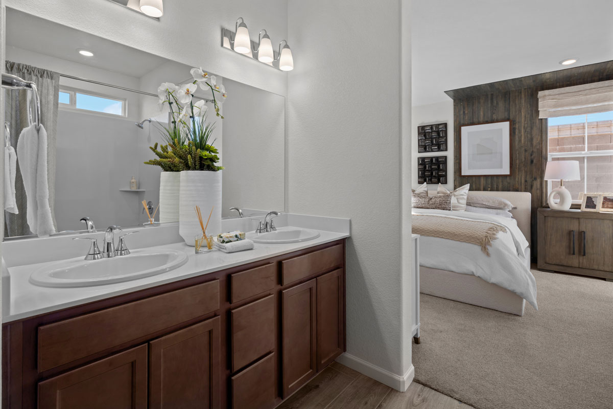 Dual-sink vanity at primary bath 