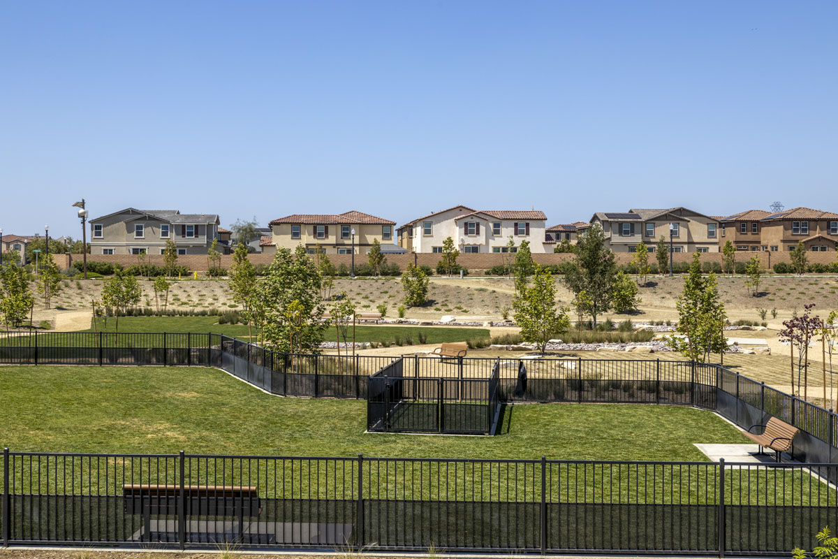 Community dog park