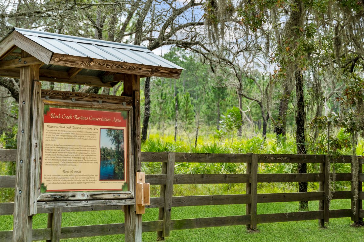 Only 15 minutes to Black Creek Ravines Conservation Area