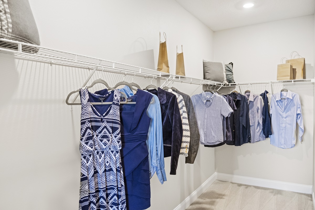 Spacious walk-in closet
