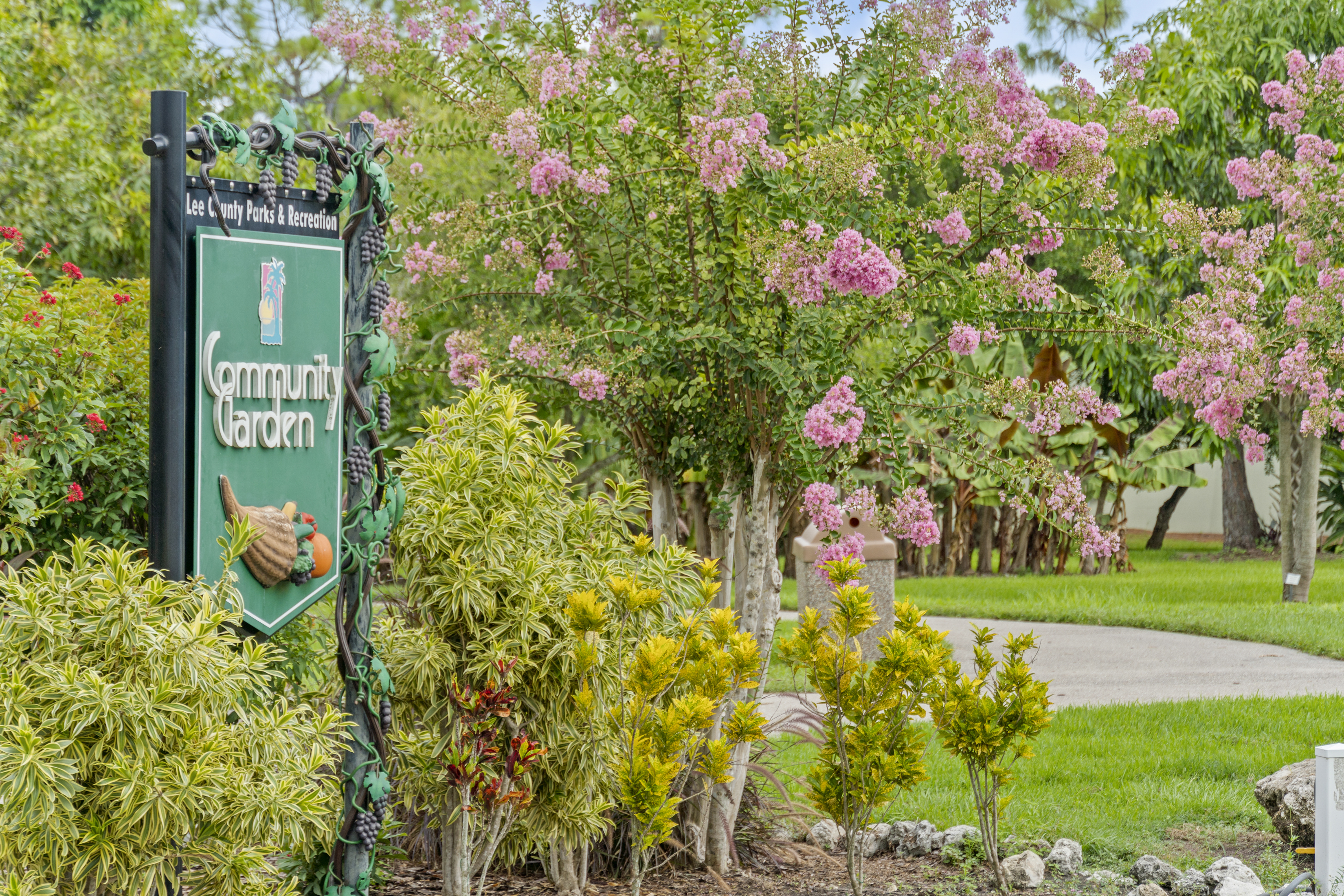 Near trails and gardens at Lakes Park