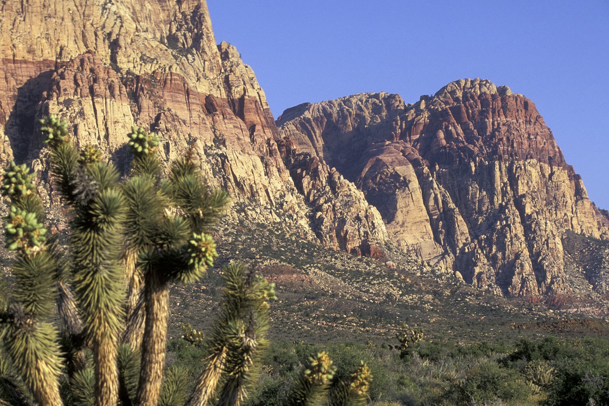 Short drive to Red Rock Canyon