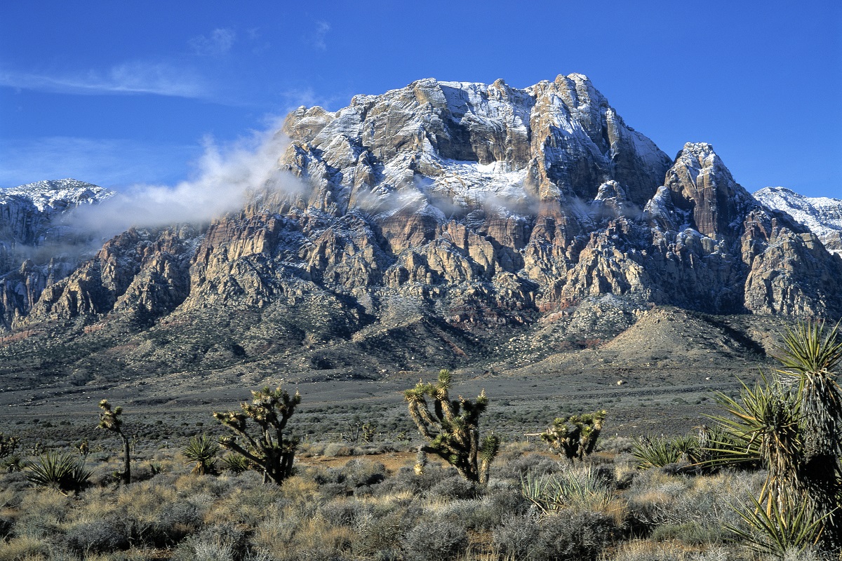 Red Rock Canyon nearby