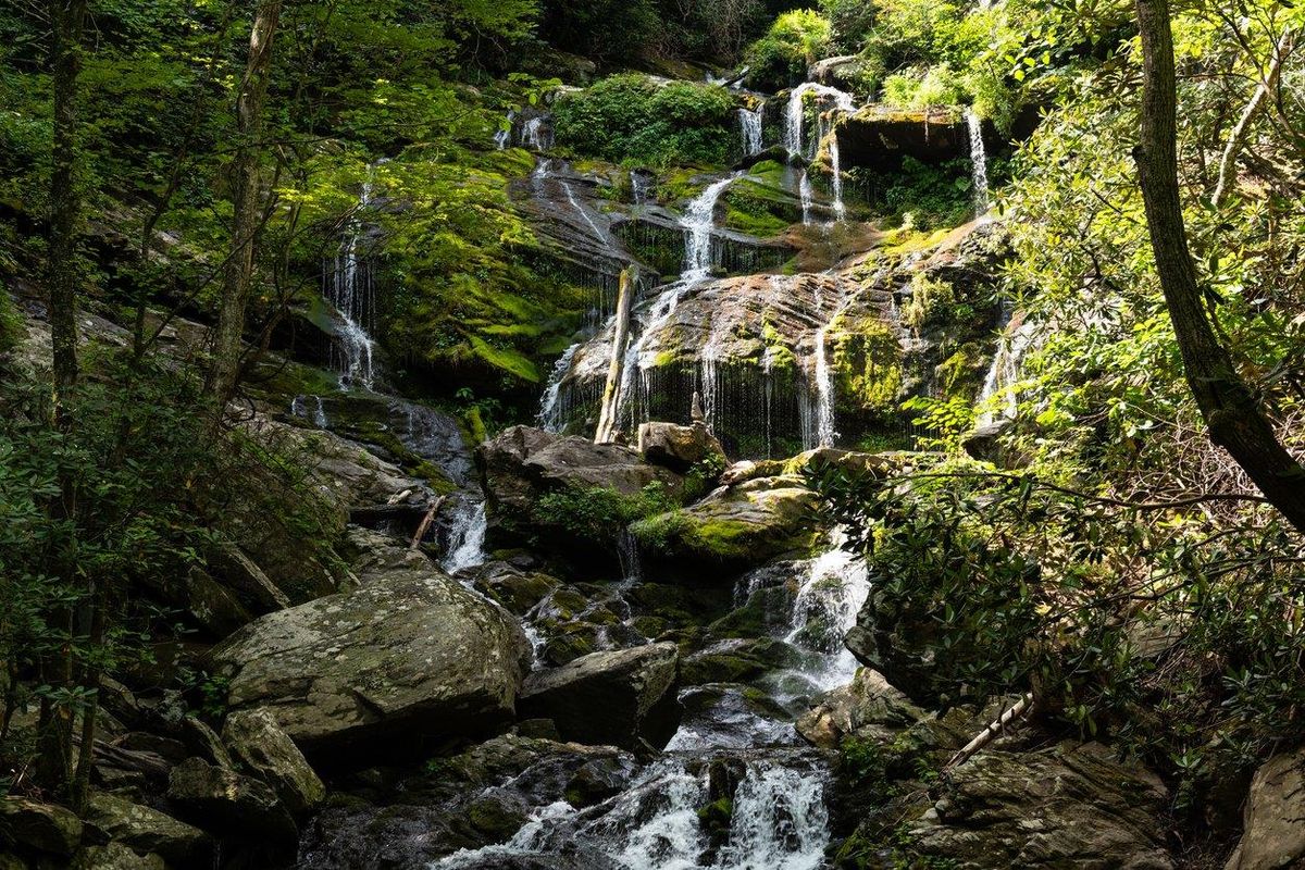 Adjacent to Catawba Falls 