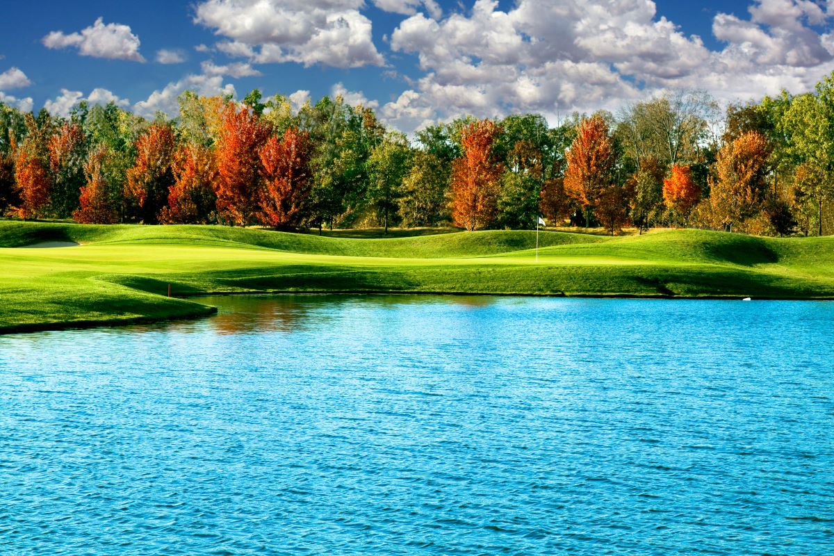 Near multiple golf courses