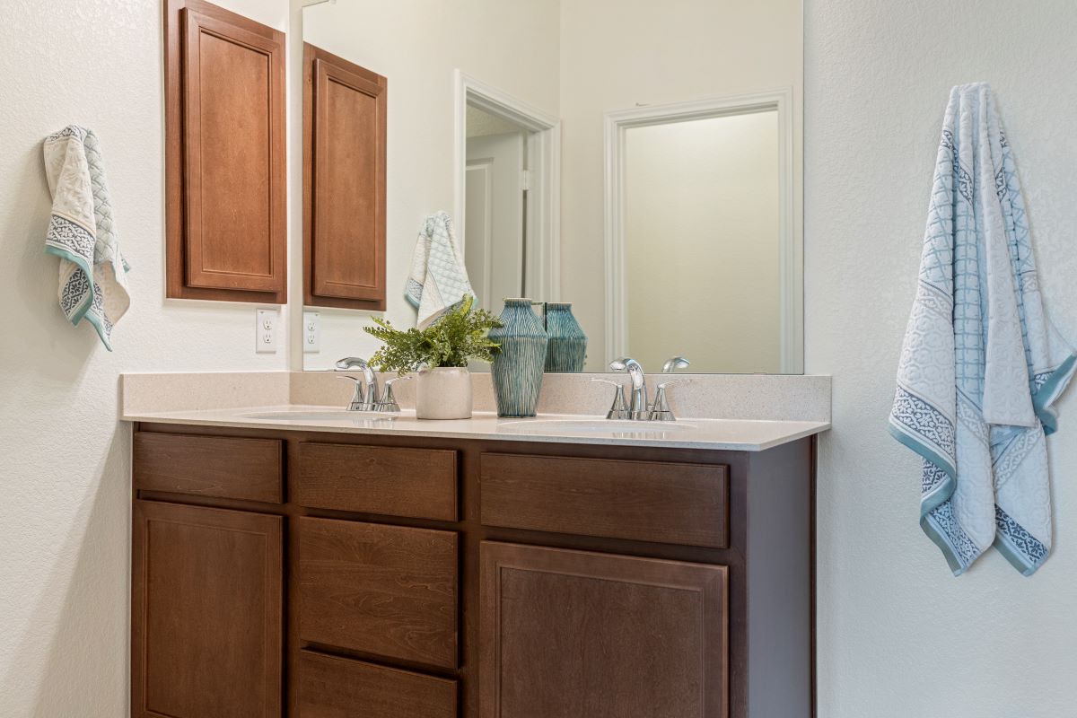 Dual-sink vanity at primary bath