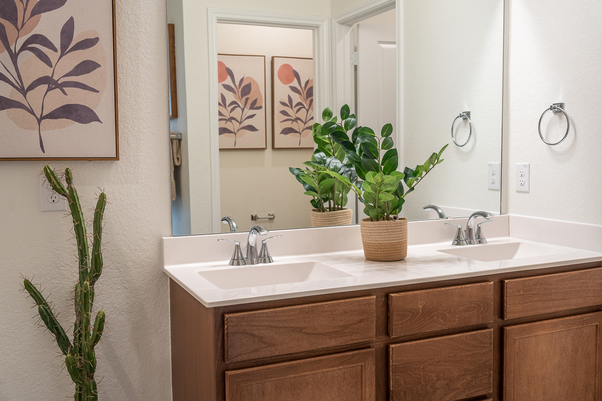 Dual sink vanity