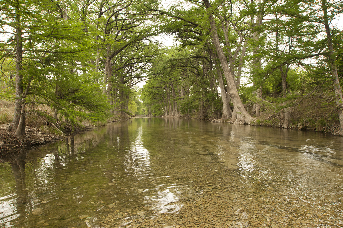 Seven minutes to Medina River Natural Area