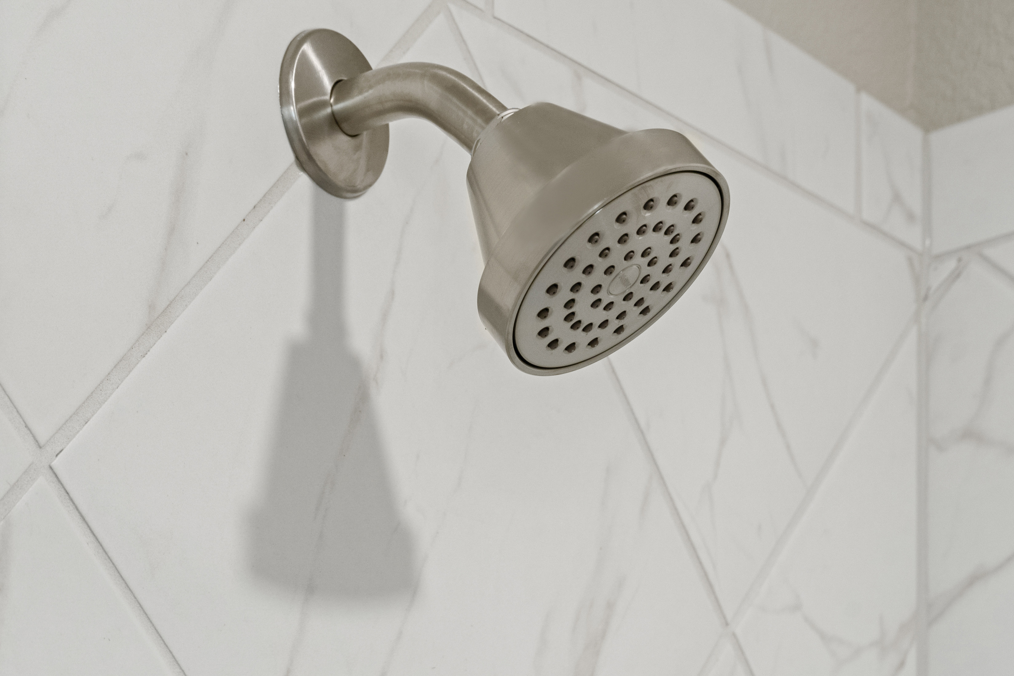 WaterSense® labeled showerhead