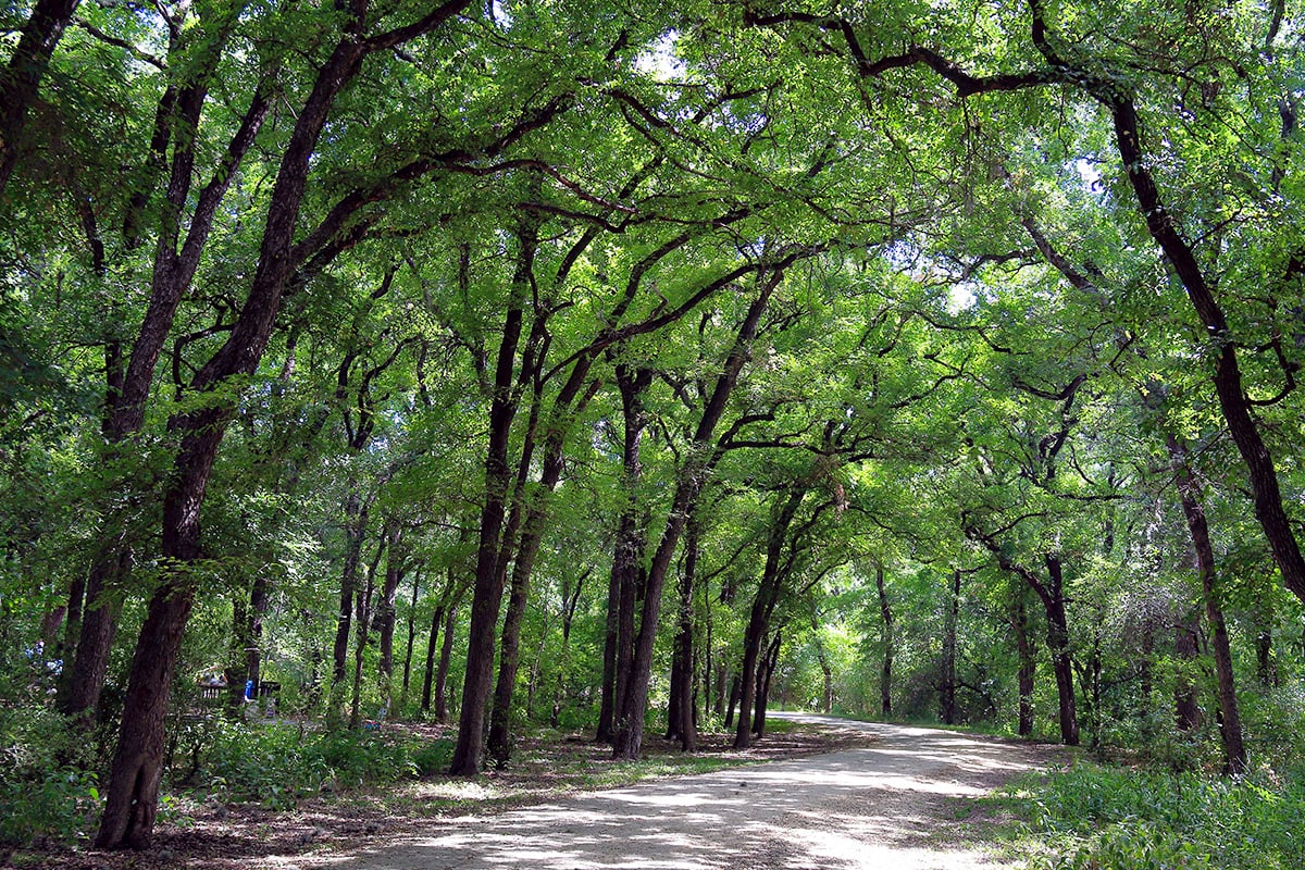 Just 12 minutes to Friedrich Wilderness Park