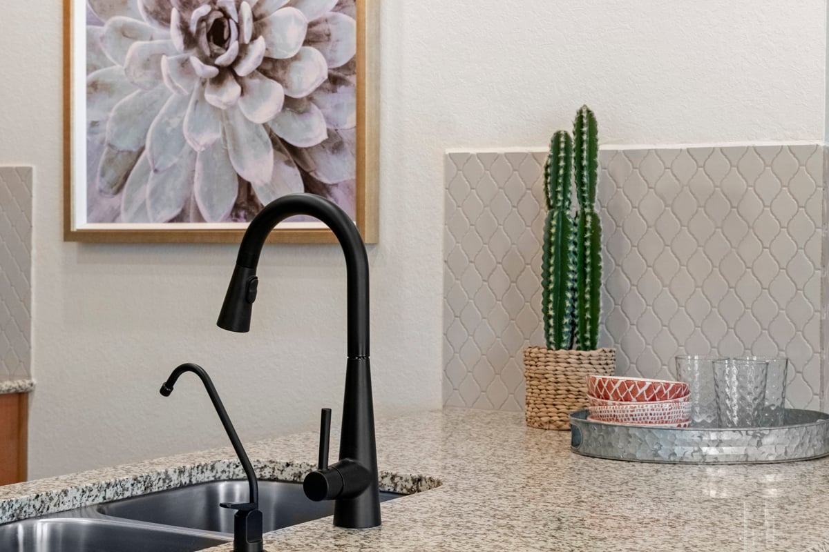 Matte black kitchen faucet