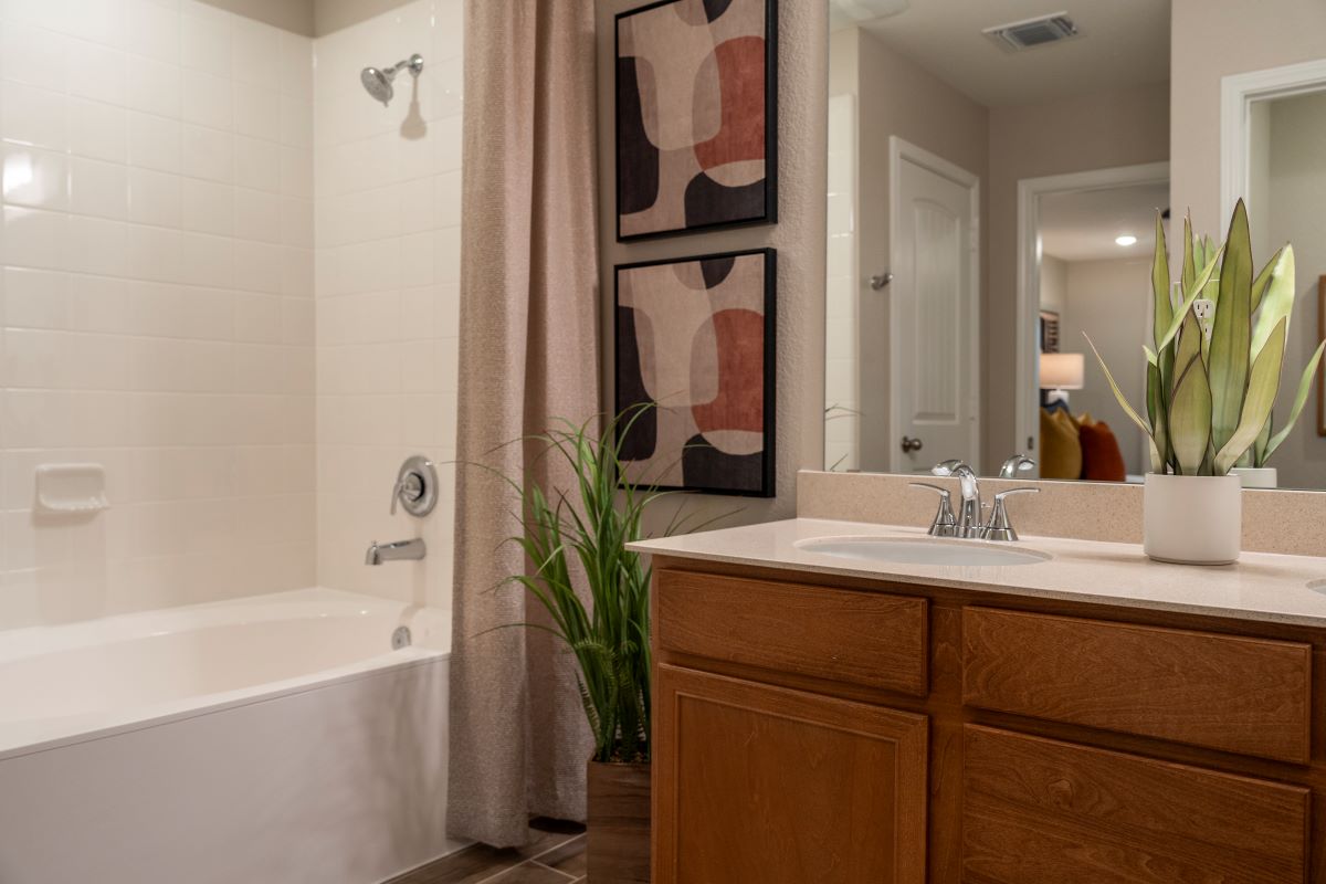 Tub/shower combination at primary bath