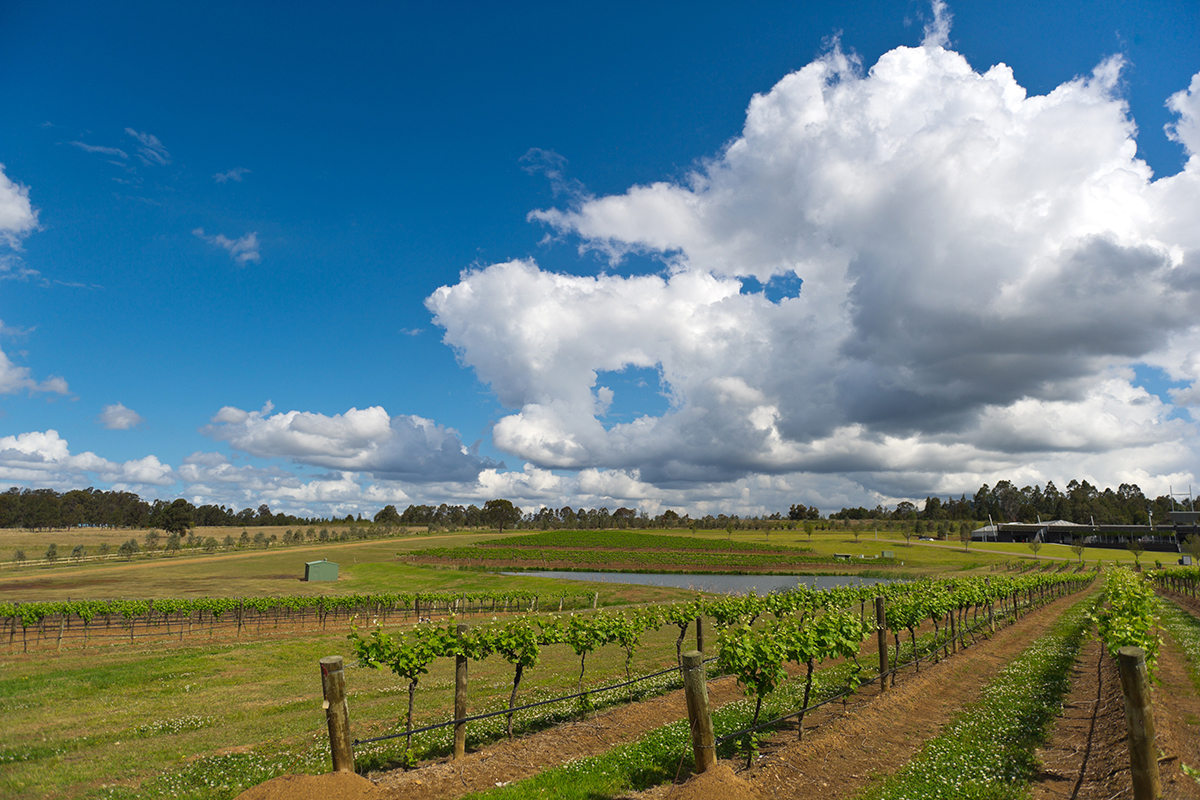 Minutes to Woodinville Wine Country