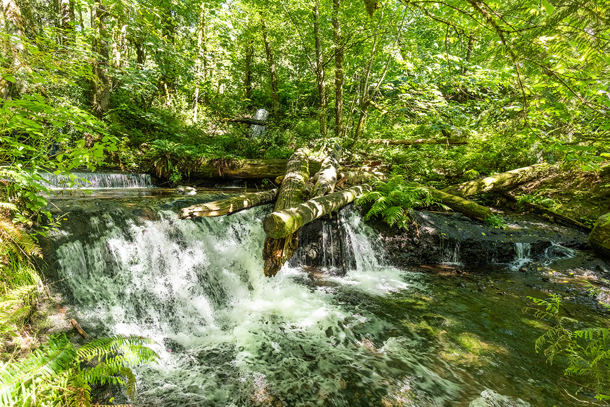 A short drive to Victor Falls Park