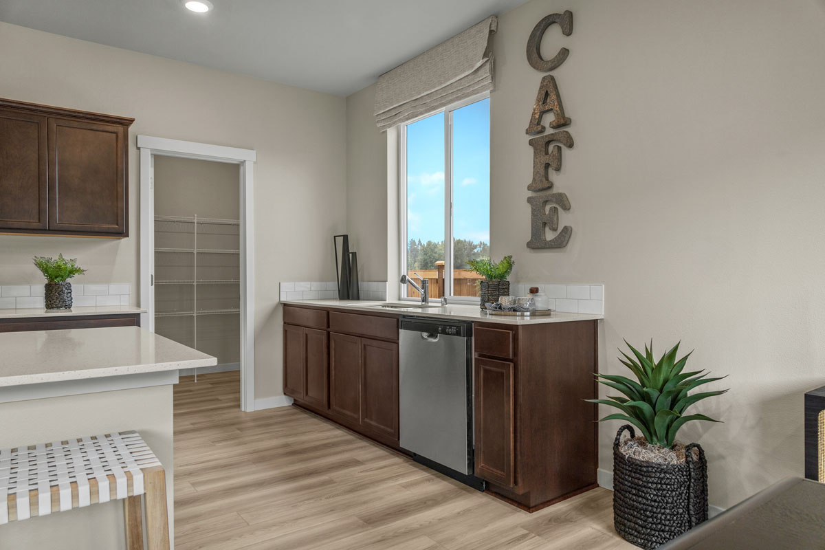 Walk-in pantry at kitchen