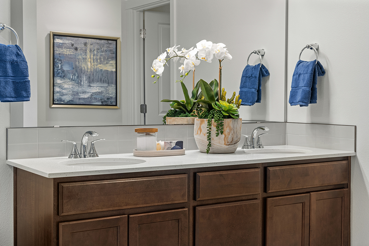 Dual-sink vanity at primary bath