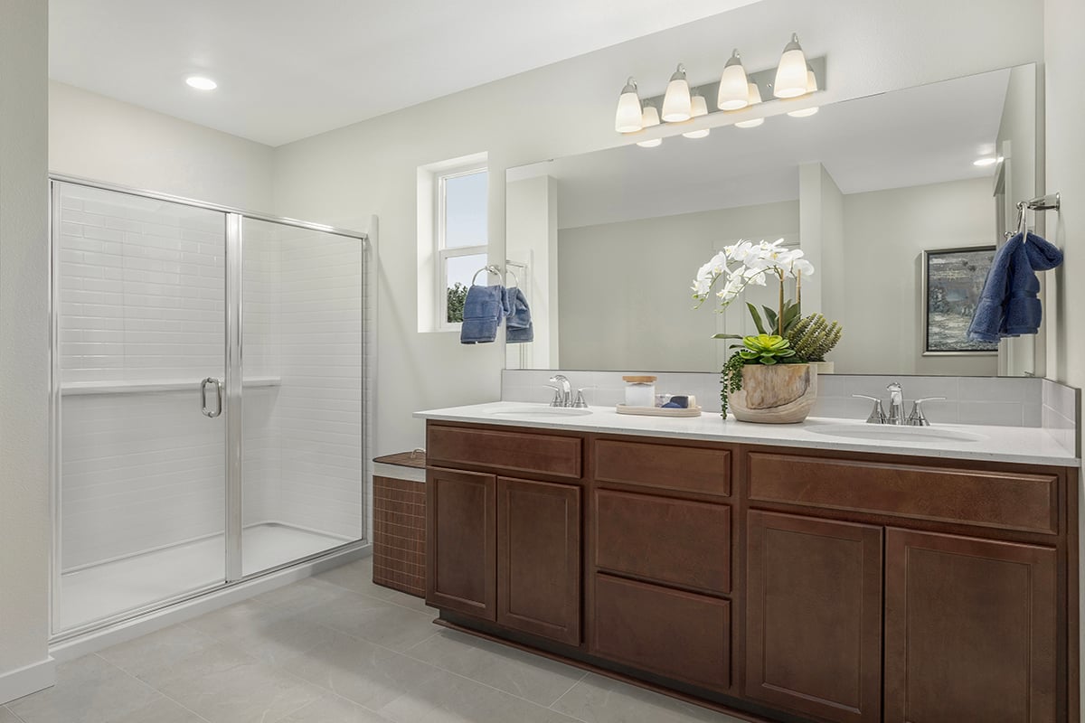 Walk-in shower with glass enclosure at primary bath