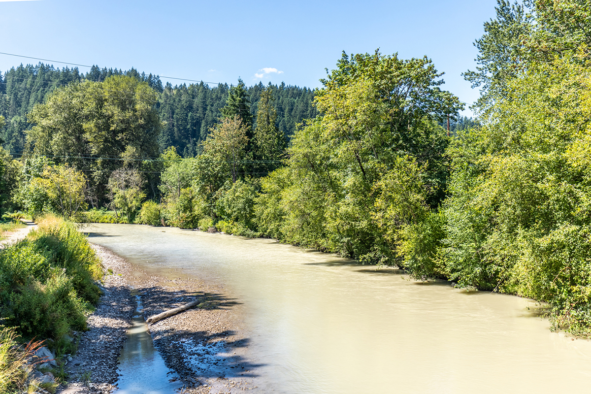 Near the Puyallup River