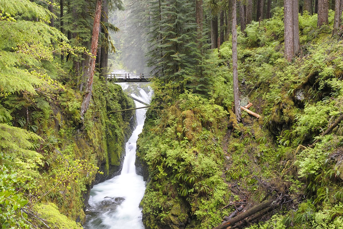 Short drive to Olympic National Park