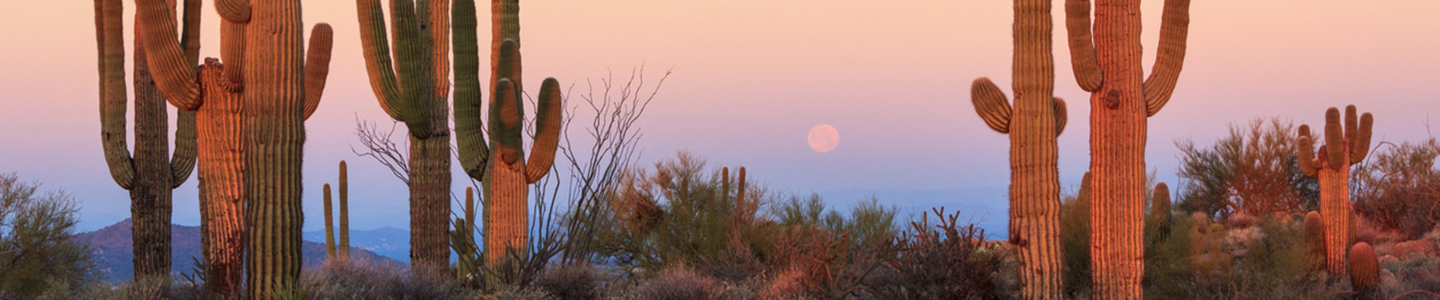 Maricopa